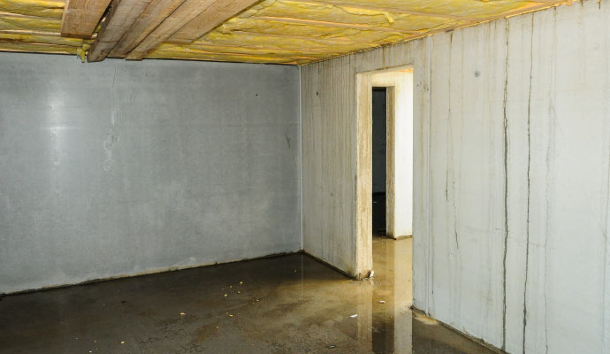 Complete Basement Flood Cleanup and Restoration