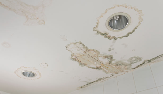 Ceiling Water Damage Restoration