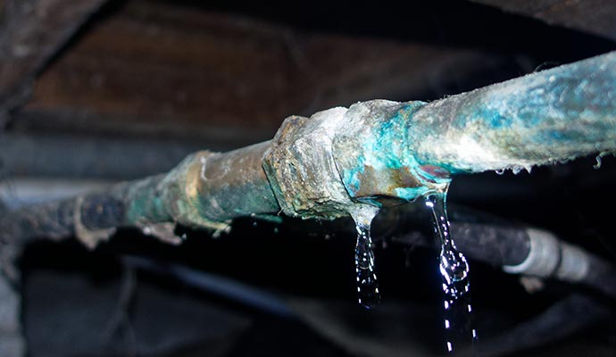 Complete Burst Pipe Cleanup and Restoration