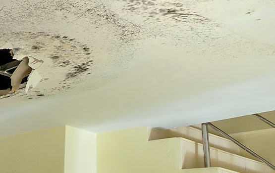 When to Schedule Roof Leak Restoration