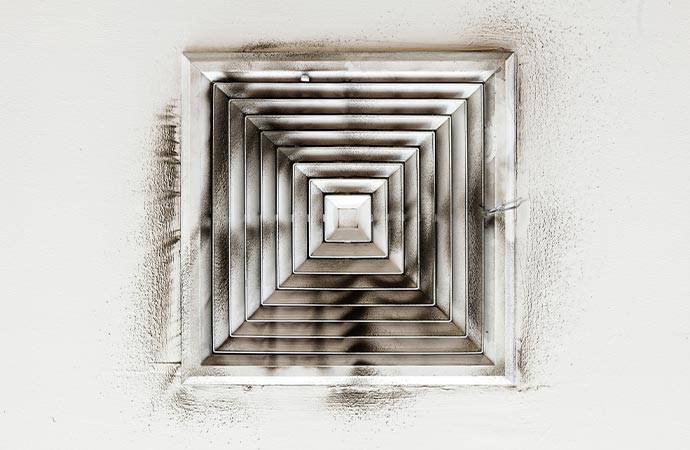 HVAC Mold Remediation Services