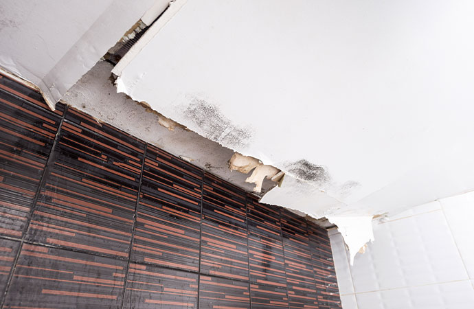 What Are the First Signs of Water Damage?