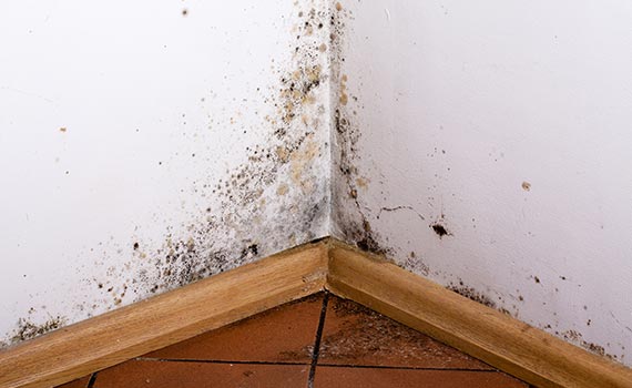 When to Schedule Water Extraction