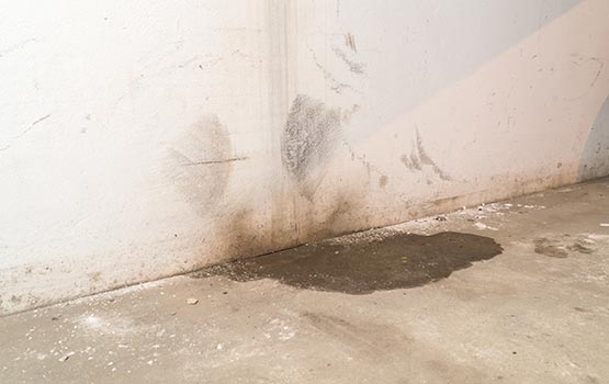 Comprehensive Sewage Damage Restoration