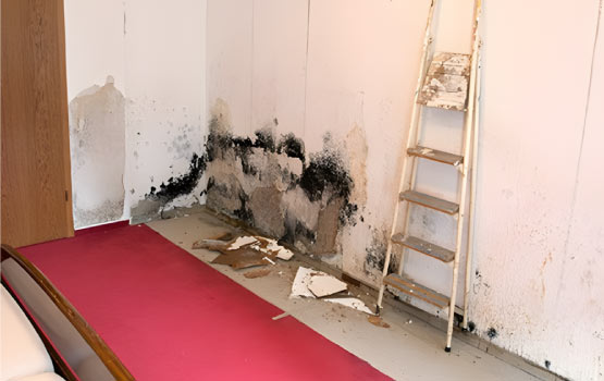 When to Schedule Disaster Cleanup