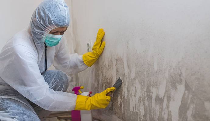 When to Call for Storm Damage Restoration