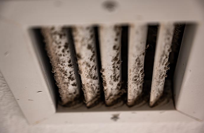 Complete HVAC Mold Removal & Air Quality Restoration