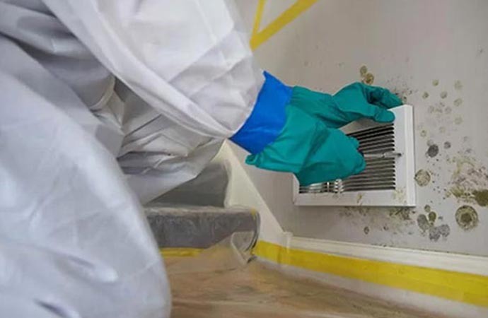When to Schedule HVAC Mold Remediation