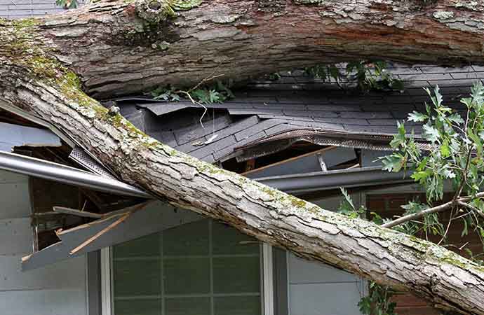 Complete Wind and Storm Damage Restoration