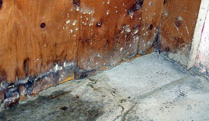 Structural Damage Restoration