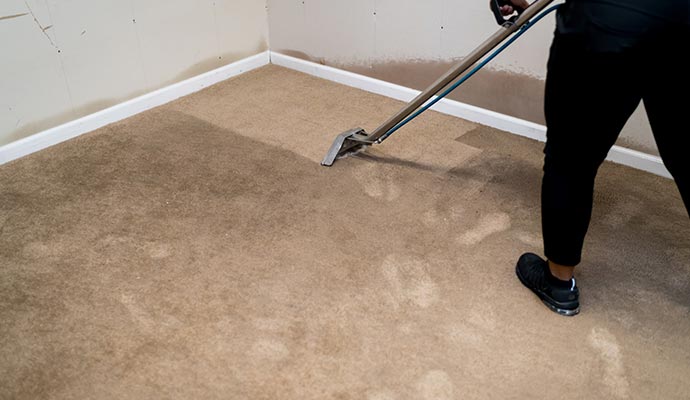 When to Schedule Carpet Cleaning