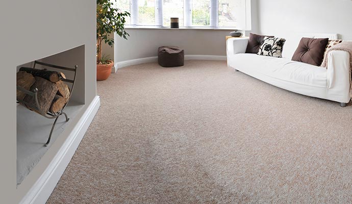 Professional Carpet Cleaning for Homes and Offices