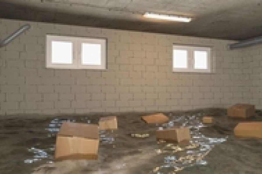 Safeguarding Your Home: Water Damage Prevention During Renovations Featured Image