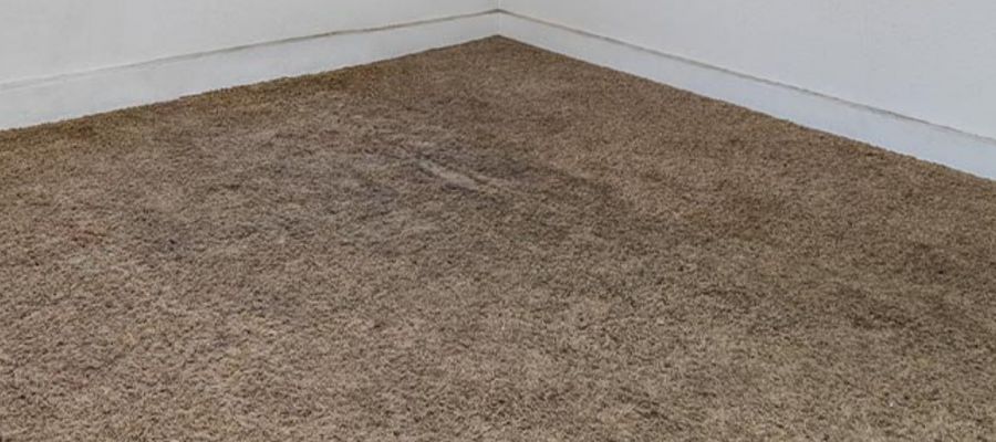 Water Damage Restoration Process