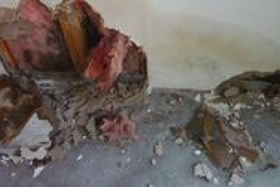 Water Damage In Plano TX