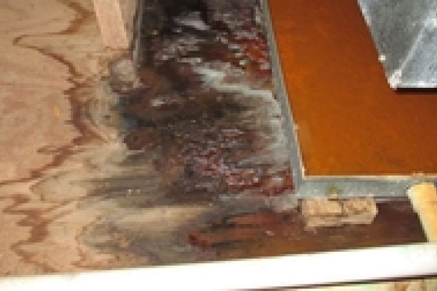 Clean, Gray, and Black Water Contamination Damage Featured Image