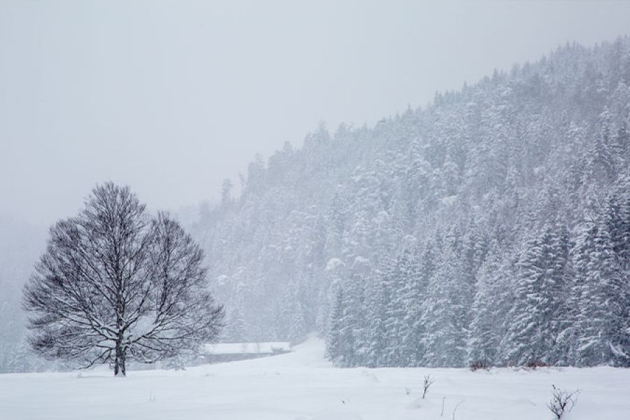 Supporting Homeowners After Texas Snowstorms